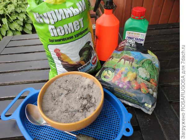 Когда и чем подкормить розы &mdash; весной, летом и осенью