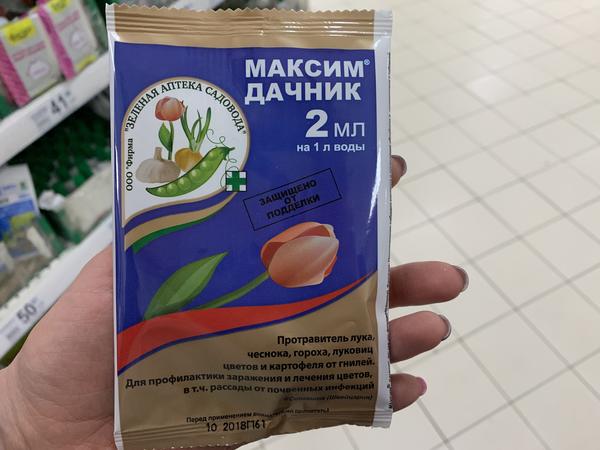 Чем обработать землю для рассады: список препаратов на любой случай