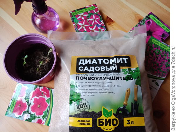 Лучшие способы пробуждения семян