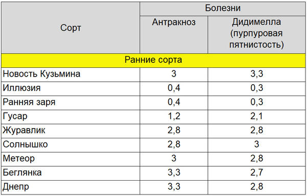 Болезни и вредители малины. Чем обработать малину