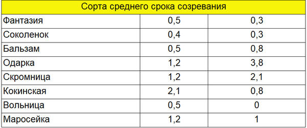 Болезни и вредители малины. Чем обработать малину