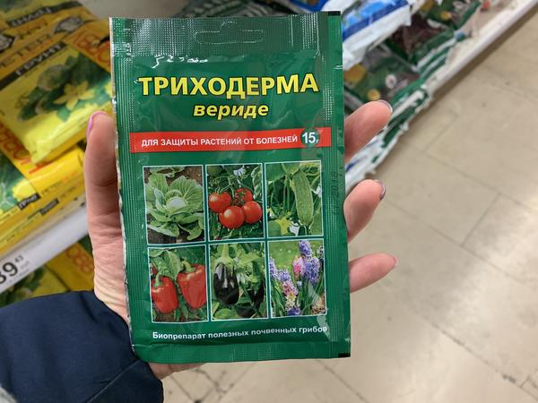 Чем обработать землю для рассады: список препаратов на любой случай