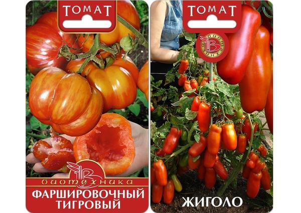 Современные производители семян: 17 популярных компаний