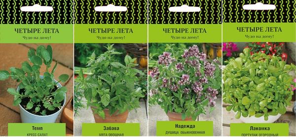 Зелень на подоконнике: как вырастить 11 культур