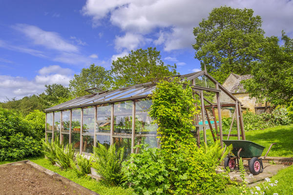 Защита от солнца и перегрева: 4 способа притенения растений в теплице