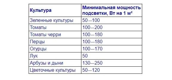 Какие овощи и зелень можно вырастить дома зимой