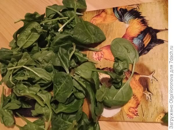 Какие овощи и зелень можно вырастить дома зимой
