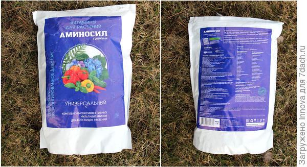 Что нужно ягодным кустарникам весной. Несколько простых правил ухода