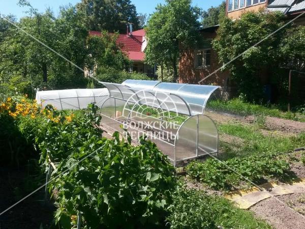 Как выбрать парник из поликарбоната: 3 основных модели, их плюсы и минусы