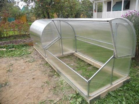Как выбрать парник из поликарбоната: 3 основных модели, их плюсы и минусы