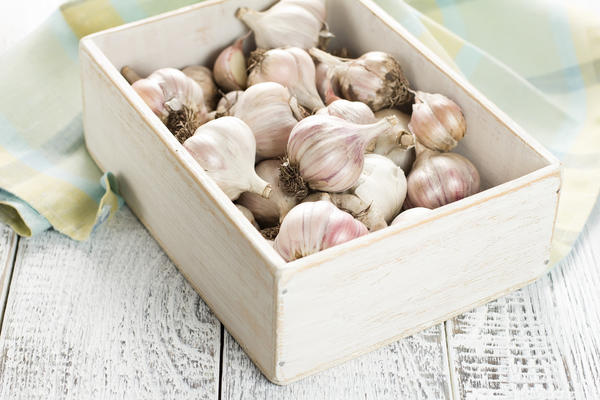 Как правильно убирать чеснок с грядки и хранить его зимой
