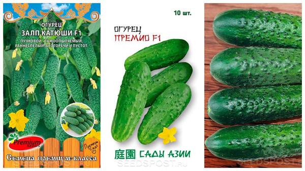 Что посеять в июле в открытый грунт