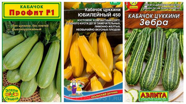 Что посеять в июле в открытый грунт