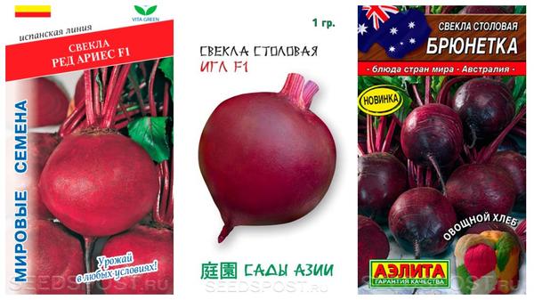Что посеять в июле в открытый грунт