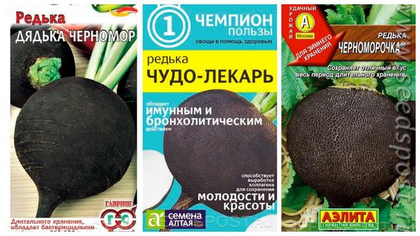 Что посеять в июле в открытый грунт
