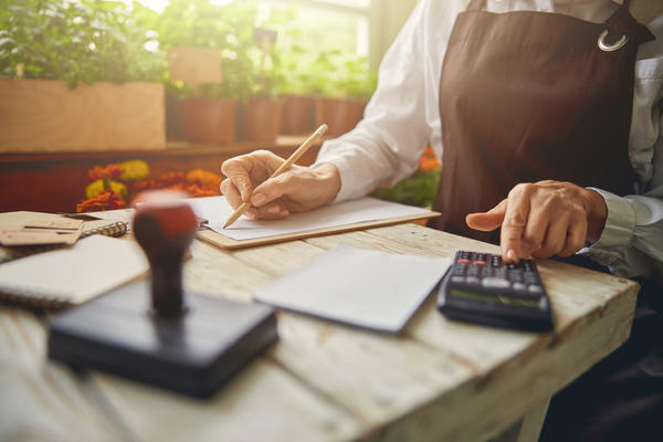 Рассада на продажу: выгодный дачный бизнес или финансовый провал?