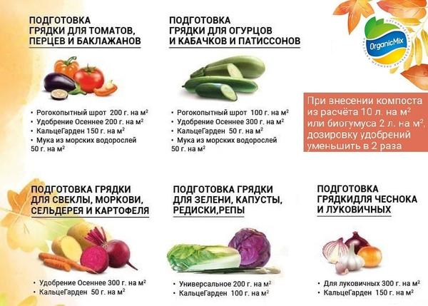 Грядка под осень для томатов: как правильно ее заправить