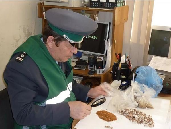 Опасность в пакетике семян: карантинные сорняки