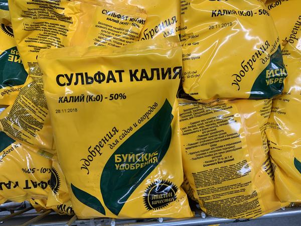 Пионы осенью: когда пересаживать и как готовить к зиме