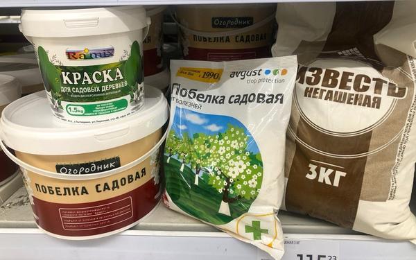 Побелка деревьев осенью: ответы на 15 главных вопросов