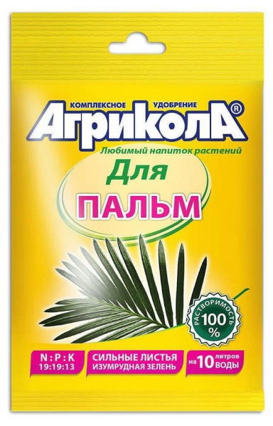 Комнатные растения, похожие на пальмы. Советы по правильному уходу