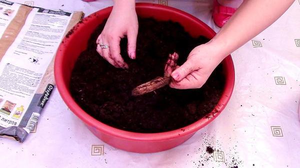 Как сделать торфяные таблетки своими руками. Пошаговая инструкция. Видео