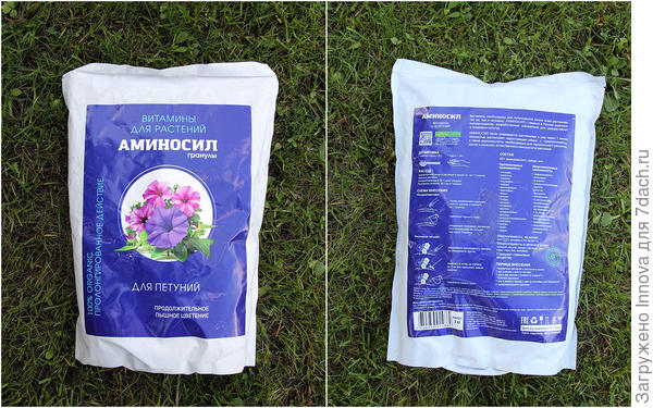 Шикарные петунии за один месяц &mdash; от черенка до пышного цветущего куста