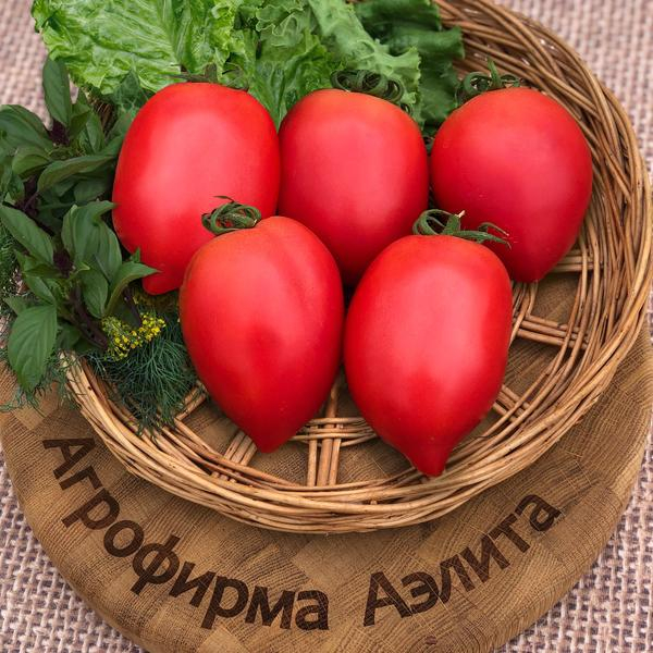 Урожайные сорта томатов. Сладкие томаты